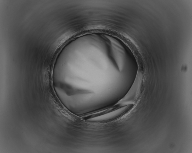 X0000091220921200708231627