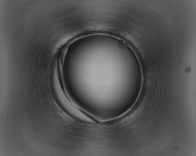 X0000091220922200708231627