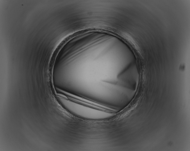 X0000091220924200708231627