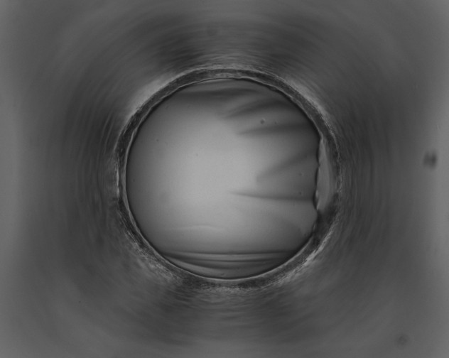 X0000091220925200708231627