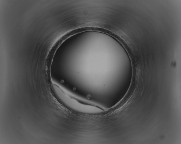 X0000091220926200708231627