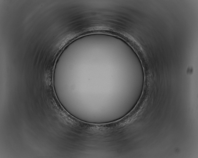 X0000091220929200708231627