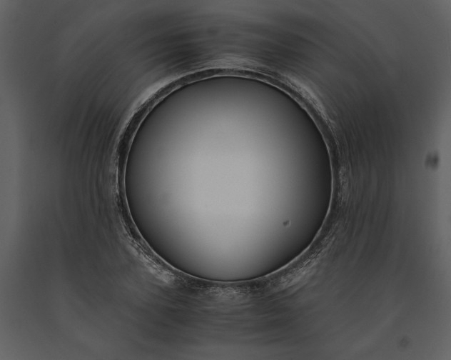 X0000091220931200708231627