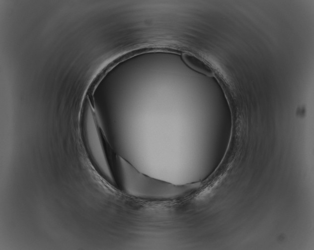 X0000091220932200708231627