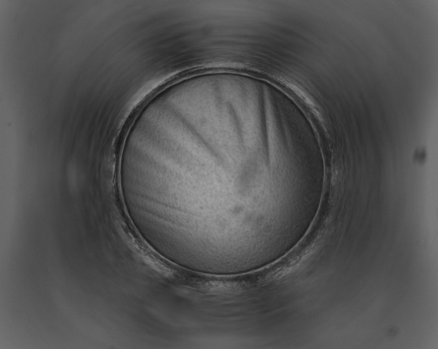 X0000091220933200708231627