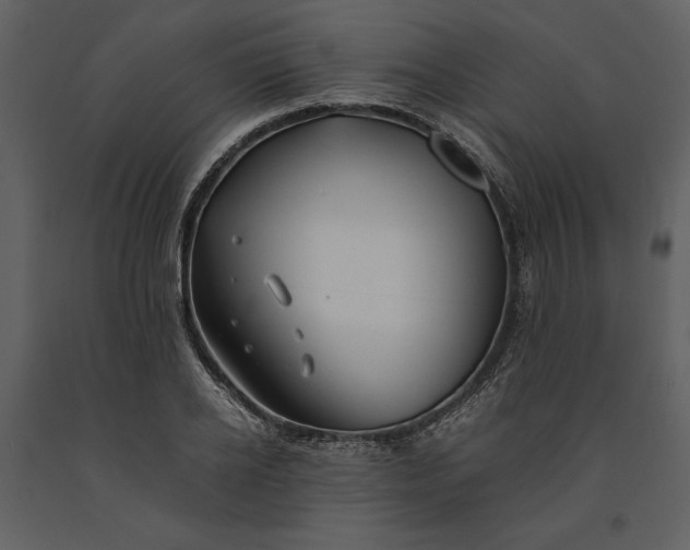 X0000091220934200708231627