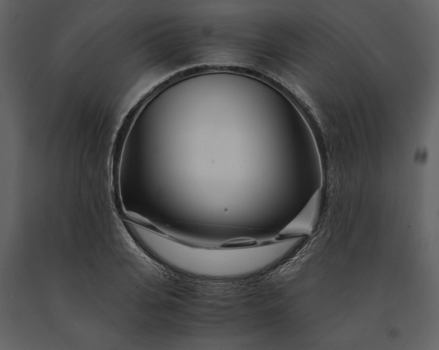 X0000091220935200708231627