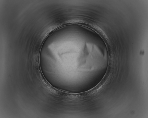 X0000091220937200708231627