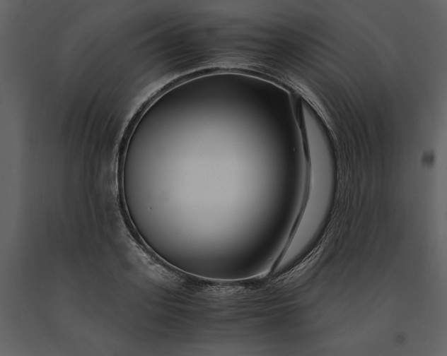 X0000091220939200708231627