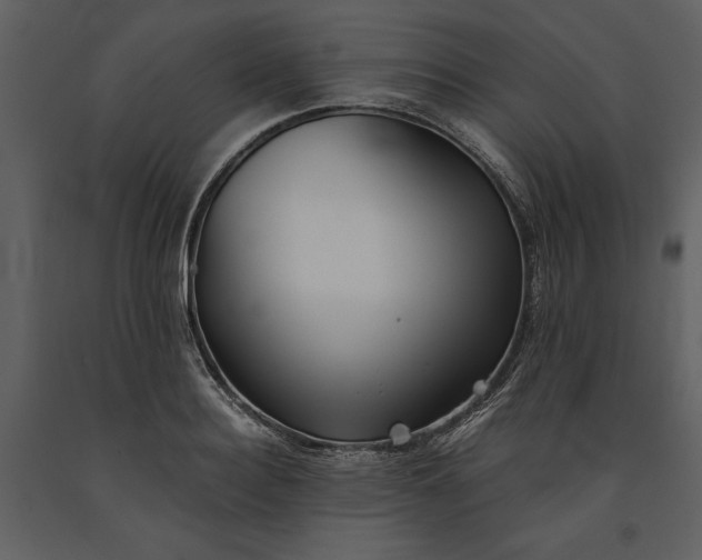 X0000091220940200708231627