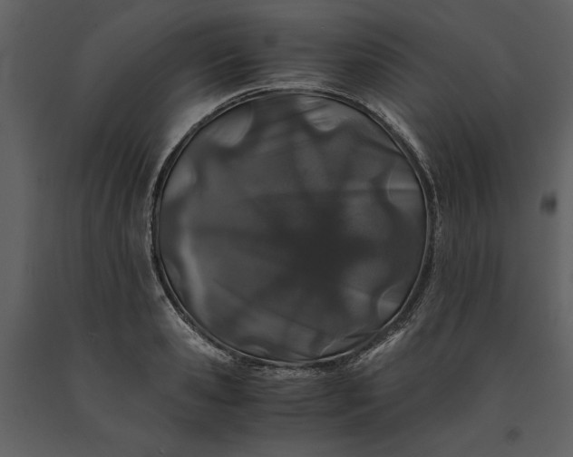 X0000091220941200708231627