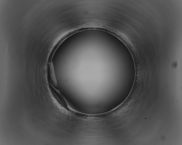 X0000091220942200708231627