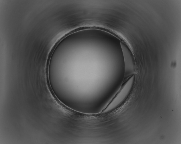 X0000091220943200708231627