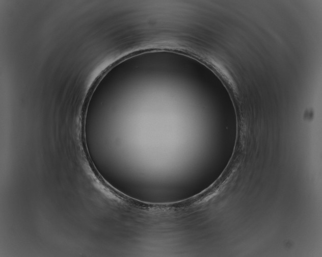 X0000091220944200708231627