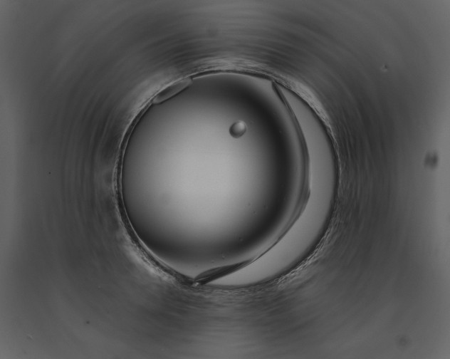 X0000091220946200708231627