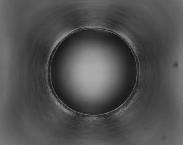 X0000091220949200708231627