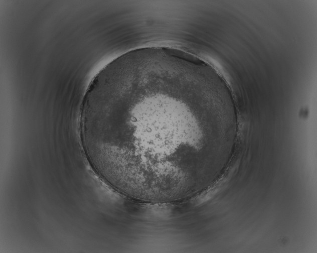 X0000091220952200708231627