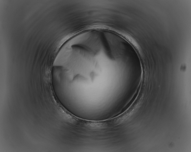 X0000091220953200708231627