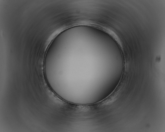 X0000091220954200708231627