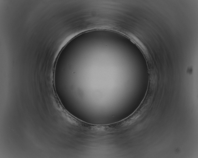 X0000091220956200708231627