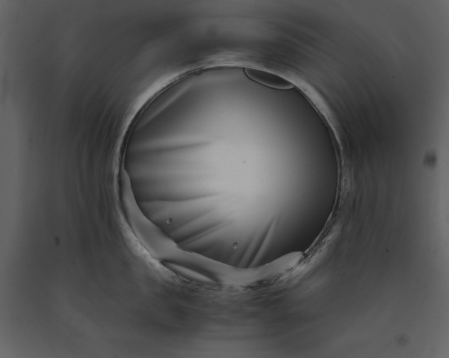 X0000091220957200708231627