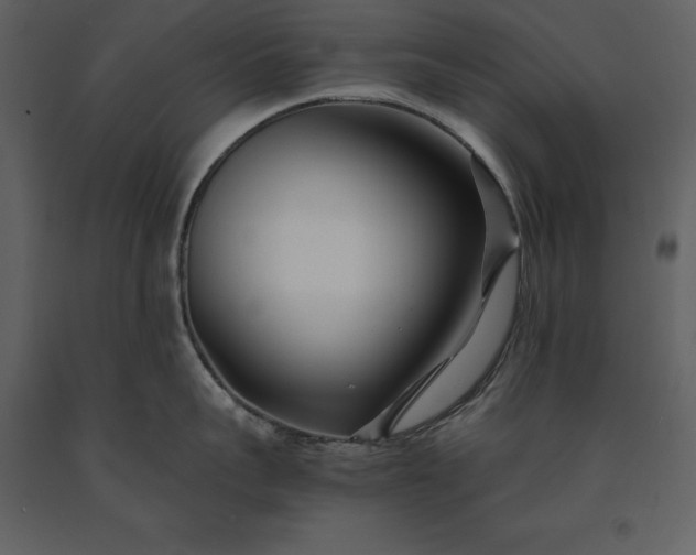 X0000091220959200708231627