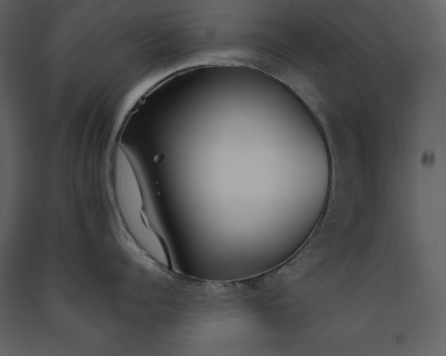 X0000091220960200708231627