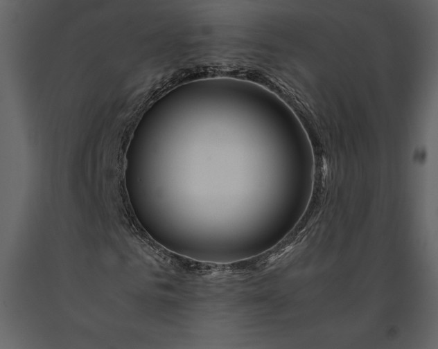 X0000091220961200708231627