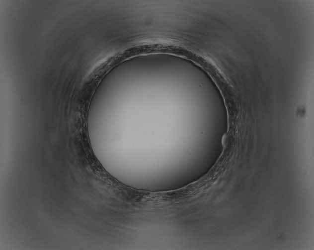 X0000091220967200708231627