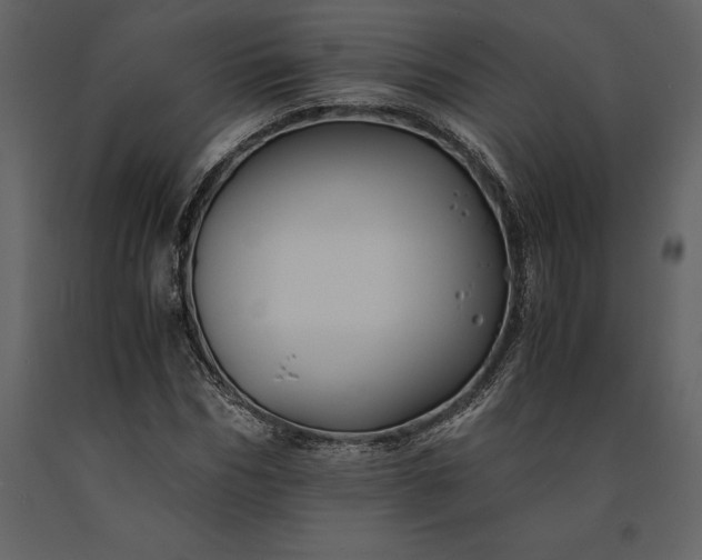 X0000091220970200708231627