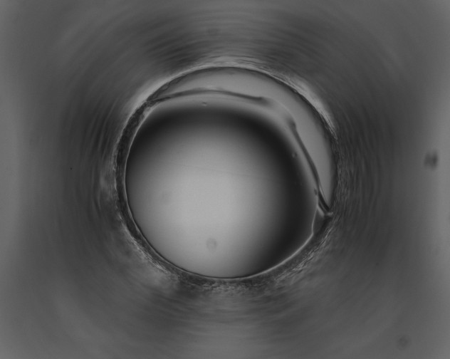 X0000091220972200708231627