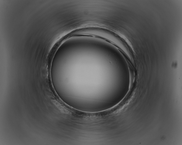 X0000091220973200708231627