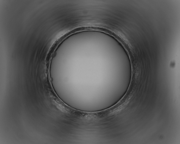 X0000091220974200708231627