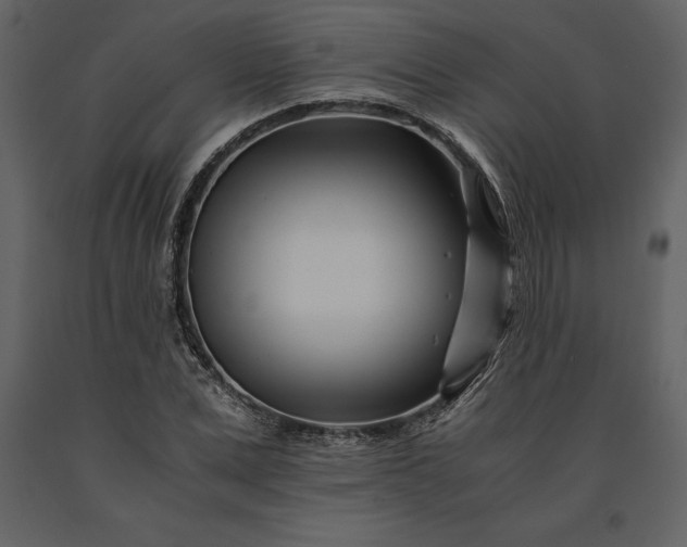 X0000091220975200708231627