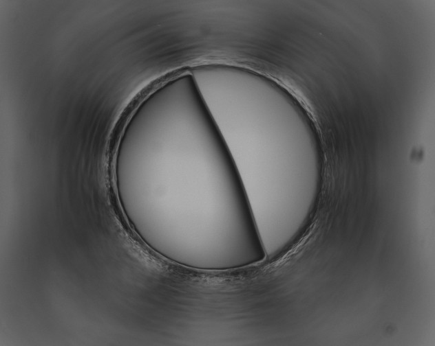 X0000091220976200708231627