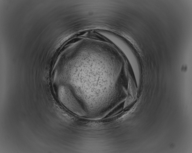 X0000091220977200708231627