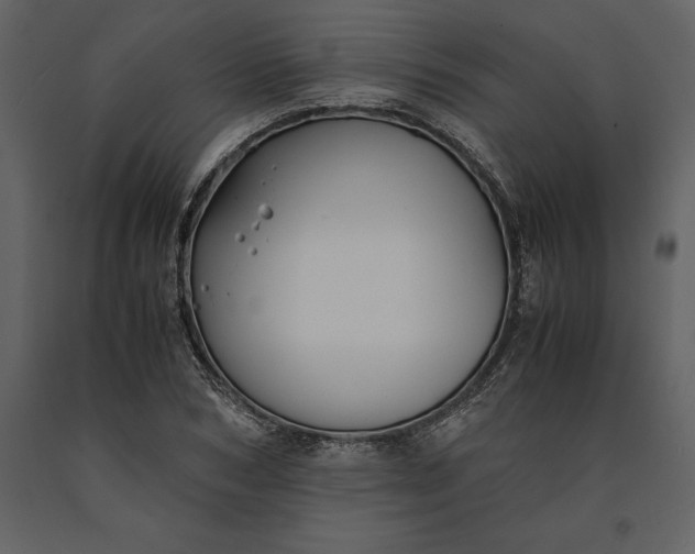 X0000091220978200708231627