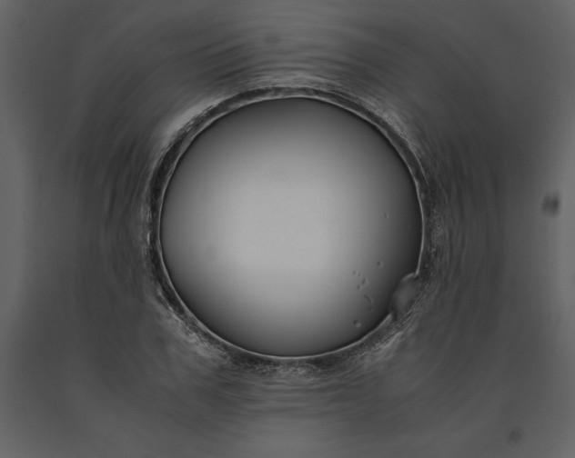 X0000091220979200708231627