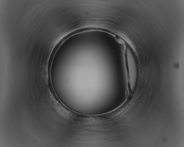 X0000091220980200708231627