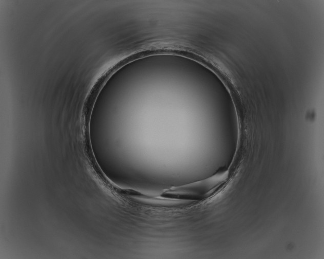 X0000091220981200708231626