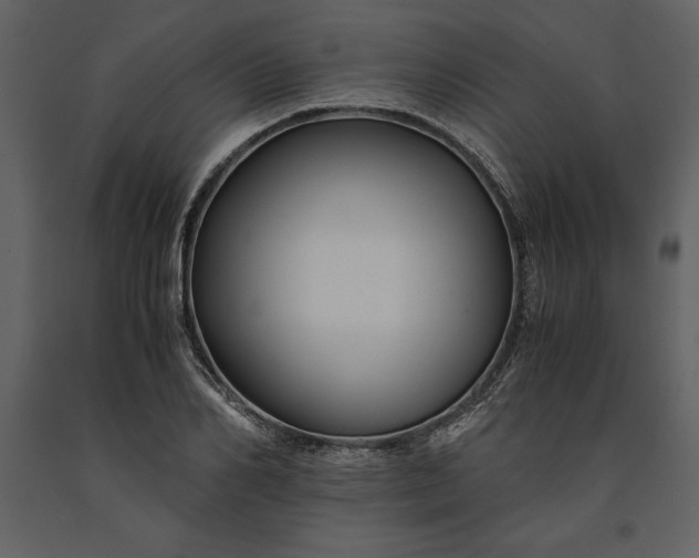 X0000091220982200708231626