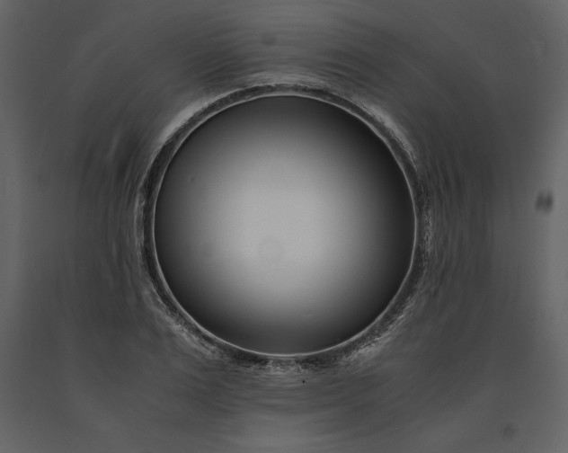 X0000091220983200708231626