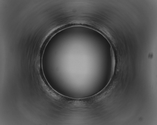 X0000091220984200708231626