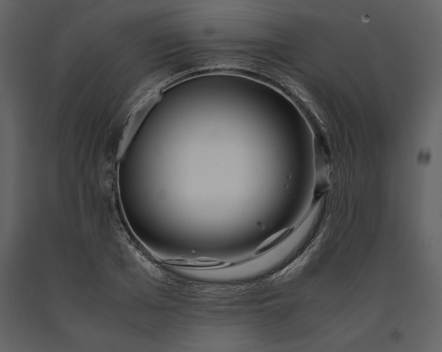 X0000091220985200708231626