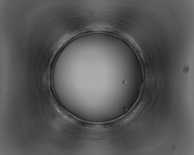 X0000091220986200708231626