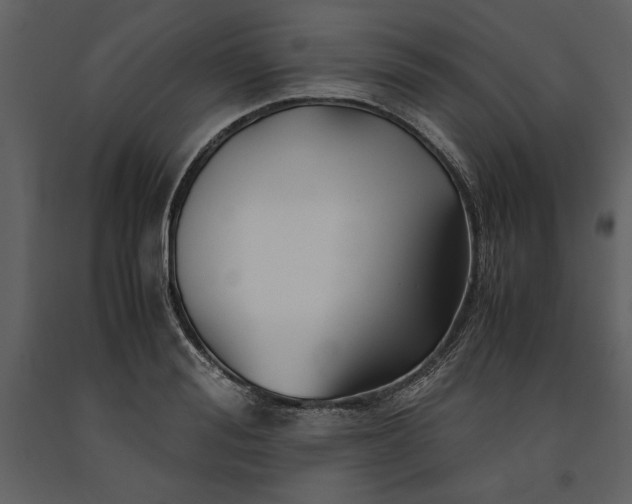 X0000091220988200708231626