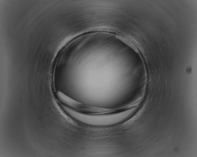 X0000091220989200708231626