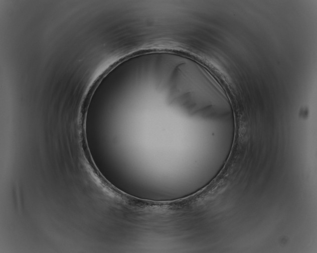 X0000091220990200708231626