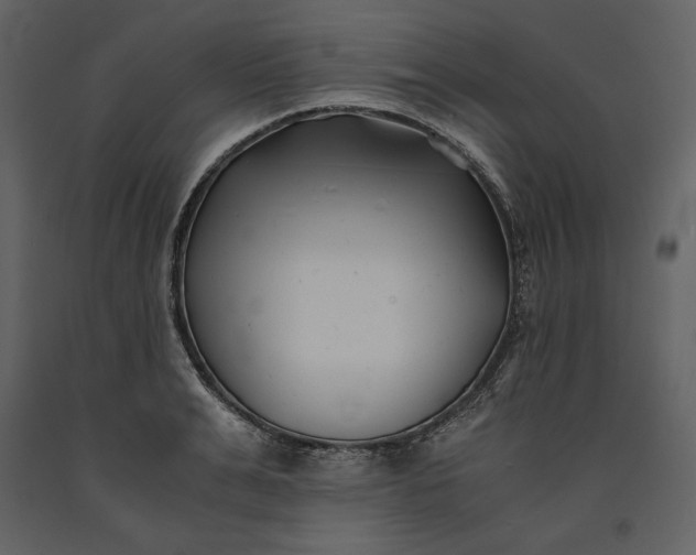 X0000091220991200708231626