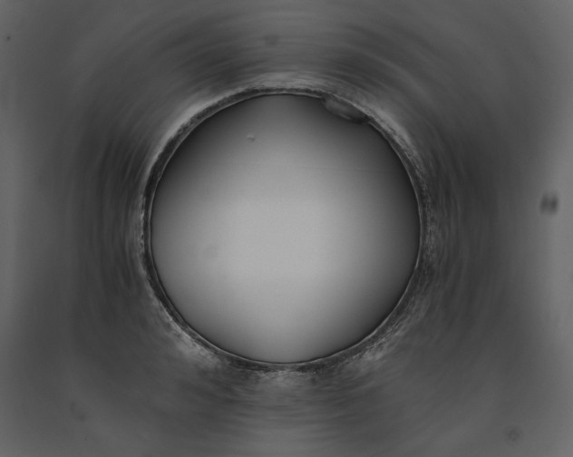 X0000091220992200708231626